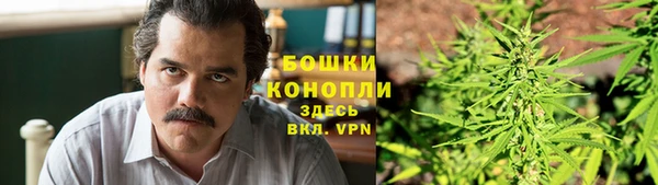 гашик Вуктыл