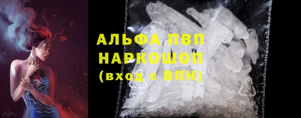 сатива Беломорск