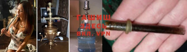сатива Беломорск