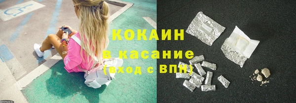 сатива Беломорск
