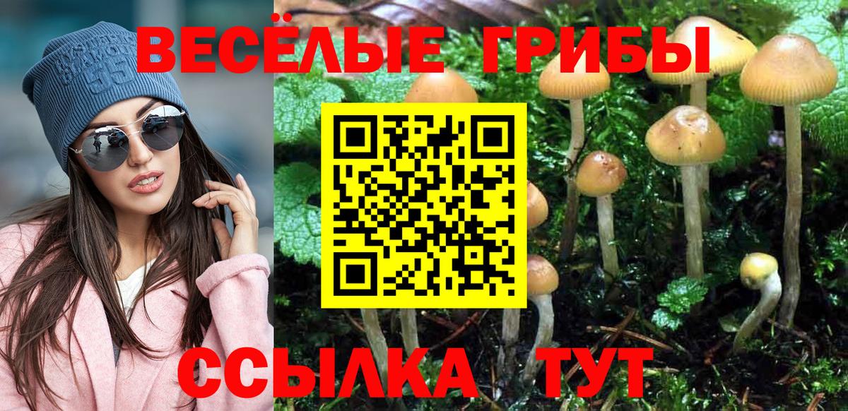 Бузулук  Галлюциногенные грибы мухоморы  Галлюциногенные грибы мицелий  Вход с VPN 